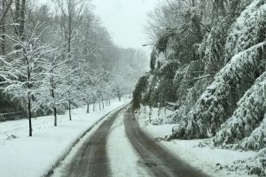  / Новини от Казанлък