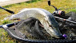  / Новини от Казанлък