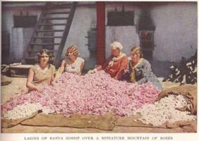  / Новини от Казанлък