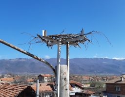  / Новини от Казанлък