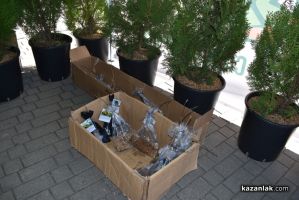  / Новини от Казанлък