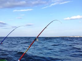  / Новини от Казанлък