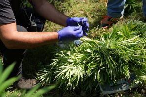  / Новини от Казанлък