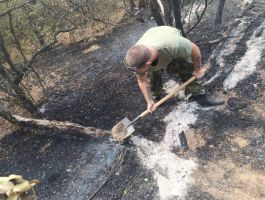  / Новини от Казанлък