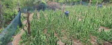  / Новини от Казанлък