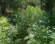  / Новини от Казанлък