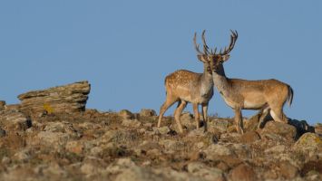  / Новини от Казанлък