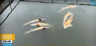  / Новини от Казанлък