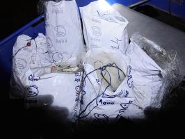  / Новини от Казанлък