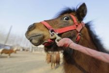  / Новини от Казанлък