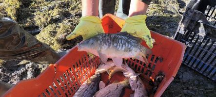  / Новини от Казанлък