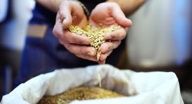  / Новини от Казанлък