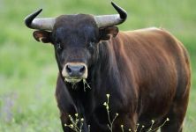  / Новини от Казанлък