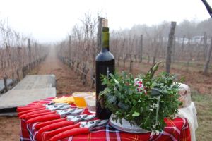  / Новини от Казанлък