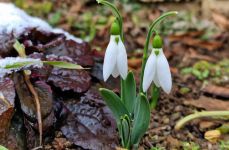  / Новини от Казанлък