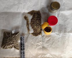  / Новини от Казанлък