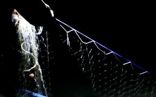  / Новини от Казанлък