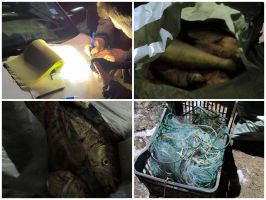  / Новини от Казанлък