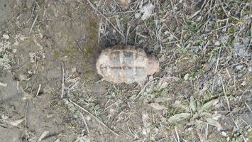  / Новини от Казанлък