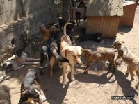  / Новини от Казанлък