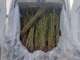  / Новини от Казанлък