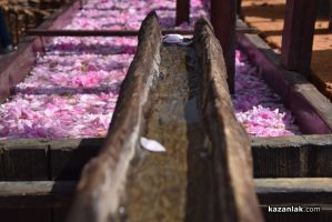  / Новини от Казанлък