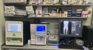 Ветеринарна амбулатория „Зоовет“ с нова апаратура за прецизна диагностика на Вашите домашни любимци / Новини от Казанлък