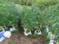  / Новини от Казанлък