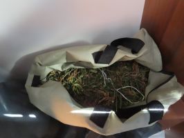  / Новини от Казанлък