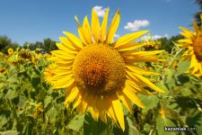  / Новини от Казанлък