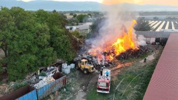 Избухна пожар в завода за дървесина край казанлъшкото село Дунавци / Новини от Казанлък
