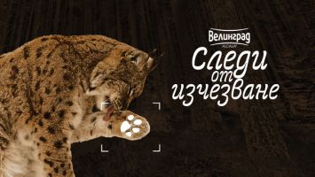 Зоопарк Стара Загора става домакин на пътуващата изложба „Следи от изчезване“ / Новини от Казанлък