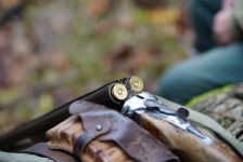 Служител на горското откри отстреляно диво животно край Тъжа / Новини от Казанлък