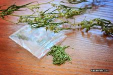  / Новини от Казанлък