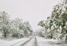  / Новини от Казанлък