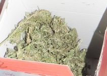 Криминалисти иззеха близо 364 грама марихуана от апартамент в Казанлък