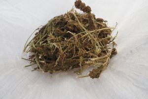 Криминалисти от полицейското управление в Казанлък иззеха над 900 грама марихуана от имот в Горно Сахране