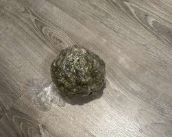 Откриха марихуана при проверка на апартамент в Казанлък, обитаван от 40-годишен мъж