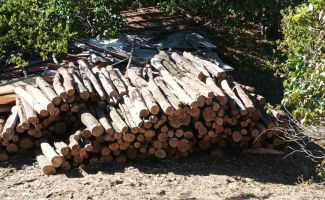 Проверяващи откриха 15 кубика дърва без документи в частен имот 
