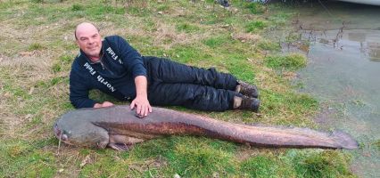 Казанлъшки рибар извади гигантски сом от водите на язовир “Копринка“ / Новини от Казанлък