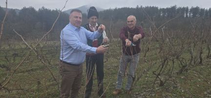  / Новини от Казанлък