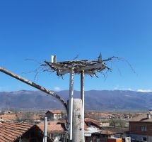 Електроразпределение Юг монтира 499 нови платформи за щъркелови гнезда по стълбове от електроразпределителната мрежа