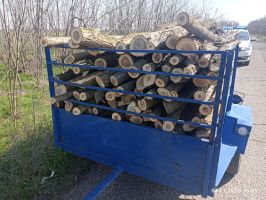 При проверка откриха незаконни дърва на три адреса в Павелбанско / Новини от Казанлък