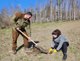 Горски служители от Казанлък и ученици залесяваха край Шипка / Новини от Казанлък