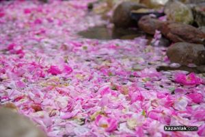 Арт инициативи превръщат Казанлък в сцена на красотата / Новини от Казанлък