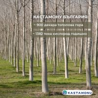Над 860 декара нова гора - Кастамону България разширява зелените си инициативи / Новини от Казанлък