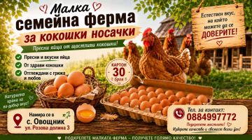 Истинският вкус на домашните яйца - директно от семейната ферма в с.Овощник / Новини от Казанлък