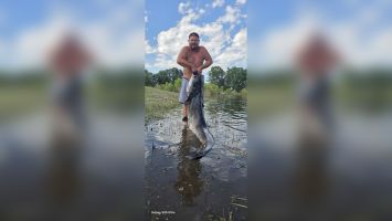 Огромен сом извадиха от водите на язовир Копринка / Новини от Казанлък