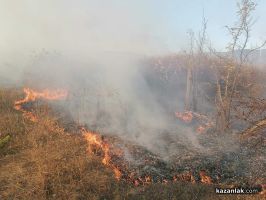Пожарникари гасят горящи сухи треви край Околовръстния път на Казанлък / Новини от Казанлък