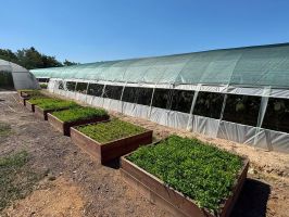 Общинската оранжерия в Долно Изворово произведе рекордна реколта от краставици  / Новини от Казанлък